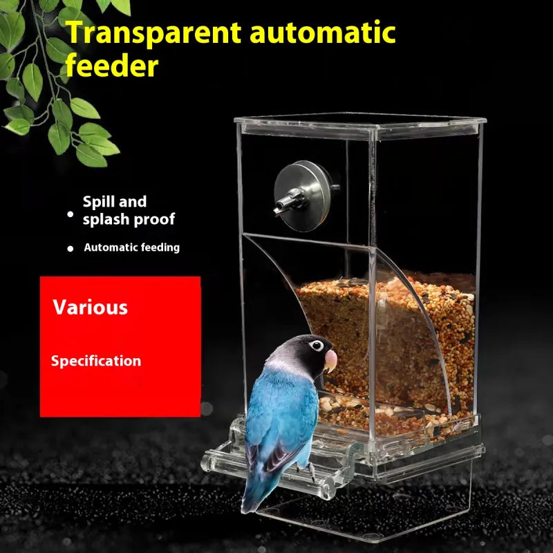 Automatic Plug-in Bird Feeder - Todd Sells Jax