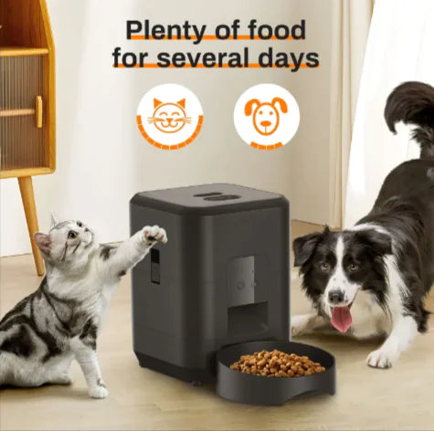 Smart Pet Feeder - Todd Sells Jax